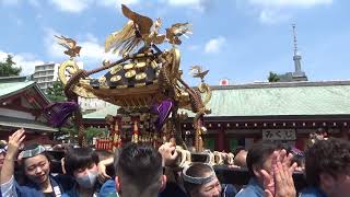 【浅草・三社祭】（2023年） 浅草寺練り歩き 神輿の回りは人・人・人で盛り上がり 祭り最高！😊日本の祭り東京の祭り 三社祭 asakusa [upl. by Aker819]