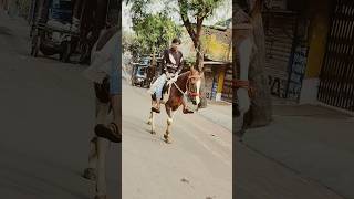 Lakdi ki Kathi Kathi pe ghoda palki lakdikikathi kathipeghoda ghodagadi horseriding viralshort [upl. by Tidwell]