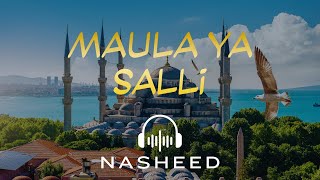 Maula Ya Salli  Beautiful Islamic Nasheed  Soulful Arabic Vocal By Abu Ubaidah [upl. by Hiro]