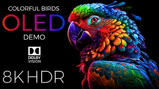 Colorful Birds OLED Demo HDR 8K Ultra HD Dolby Vision™ 60fps [upl. by Ecahc]