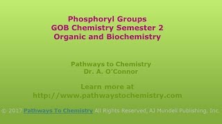 Phosphoryl Groups [upl. by Ledah]