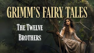 Grimms Fairy Tales The Twelve Brothers Full Audiobook [upl. by Cirillo86]