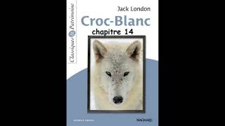 Chapitre 14  Croc Blanc de Jack London  version abrégée [upl. by Zita]