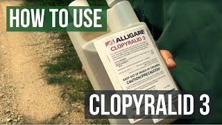 How To Kill Weeds with Clopyralid 3 Herbicide [upl. by Atinniuq548]