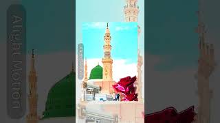 🥺❤️sayed Salman Raza ❤️🥺 subscribe me madina 2024 new madina 🥺🥺❤️🕋 [upl. by Epuladaugairam]