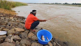 Fishing Video  The skilled village boys know all the tricks of fishing in the river  Hook fishing [upl. by Adlanor]