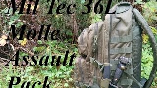 MilTec 36L Molle Assault Pack Review [upl. by Dace]