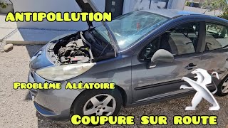 Antipollution à contrôler coupure sur route Peugeot 207 Hdi 🫡✅️ [upl. by Ferne]