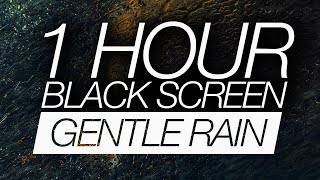 1 Hour Gentle Rain Sounds For Sleeping Black Screen  Relaxing 432Hz Sleep Meditation Music [upl. by Siulegroj]