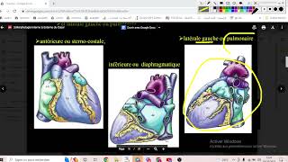 UE1 Anatomie CardioVasculaire 3 بالعربية  La configuration externe du cœur [upl. by Ashlie943]