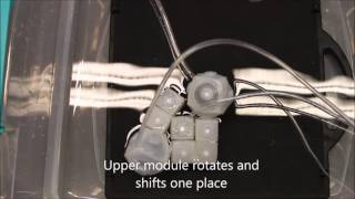 Soft Modular Robotic Cubes Toward Replicating Morphogenetic Movements of the Embryo [upl. by Adnwahsor380]