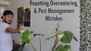 Houseplant Fails  How to Fix Indoor Plant Care Mistakes [upl. by Ellehsim]