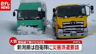 “ガソリンなくなる…” 大雪で２０時間立ち往生 新潟・関越道（2020年12月17日放送「news every」より） [upl. by Ik]