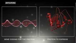 Epitope Mapping [upl. by Eeram655]