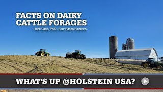 Whats Happening at Holstein USA HighQuality Forages [upl. by Leuas]