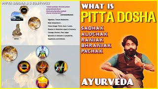 Pitta Dosha Made Simple  Easy Ayurveda Animation [upl. by Patten]