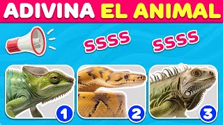 ¡Quiz de Sonidos de Animales ¿Adivina quién🐍🔊 [upl. by Inaniel]