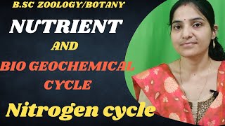 Nutrient And Biogeochemical cycle Nitrogen cycle BSc 1st \3rdsemesterGaseous cycleecology [upl. by Sunderland]