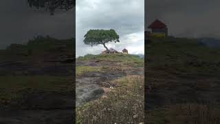 Vamala Sree Muruka Temple Pallavoor palakkad temple [upl. by Thistle]