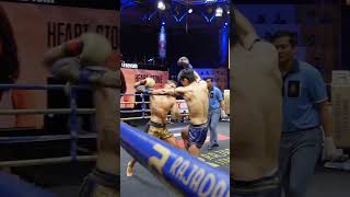 SAVAGE ELBOW in Muay Thai FIGHT 🔥muaythai fighting mma [upl. by Anpas]