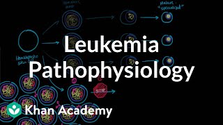 Leukemia pathophysiology  Hematologic System Diseases  NCLEXRN  Khan Academy [upl. by Madel]