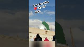 Woh mera nabi hai loveallah lovegod allah allah love lovereligion motivation beautifulsoul [upl. by Coltin]