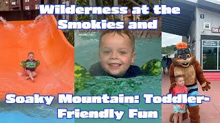 ToddlerFriendly Fun at Wilderness at the Smokies and Soaky Mountain [upl. by Peppel442]