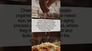 The Unbelievable World of Cheese Mites Tiny Titans of Taste [upl. by Ahseem]