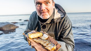 So fängst du MEERFORELLEN Die 12 wichtigsten Punkte inkl KOCHEN am Strand 🔥 [upl. by Einafets]