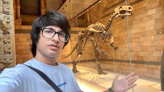 Dinosaurs Dekh Liya 😲 Real [upl. by Estele502]