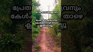 പ്രേത ബാധയുളള മന Shorts horrorstorys horrorstories mysterymalayalam [upl. by Stevens799]