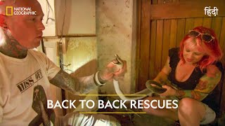 Back To Back Rescues  Snakes in the City  हिन्दी  Full Episode  S3  E1  Nat Geo Wild [upl. by Anorahs]