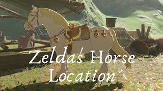 Zeldas Horse Location Royal Horse Bridle and Saddle  The Legend of Breath of The Wild [upl. by Cherish939]