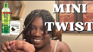 HOW TO TWIST 4C NATURAL HAIR FOR BEGINNERS [upl. by Elonore]