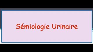 Semiologie Urologique  Examen Clinique et PreClinique FMPC [upl. by Euqinomod824]