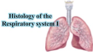 Histology of the Respiratory system quotpart Iquot nose larynx trachea amp bronchi [upl. by Ecirahc]