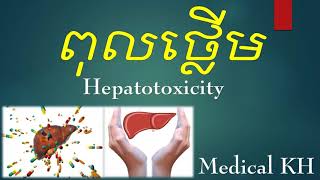 Hepatotoxicityពុលថ្លើម [upl. by Aikemat]