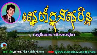 ស្នេហ៍ក្នុងសុបិន្ត នីសាលឿន  Sne knong soben Ny saloeun song [upl. by Valeta]