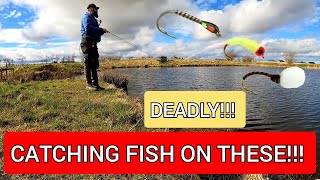 Afternoon Fly fishing for RAINBOW TROUT flyfishing rainbowtrout fishing [upl. by Nirtiac]