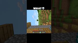 Minecraft WHAT Moment shorts minecraftshorts minecraft [upl. by Ecirtael]