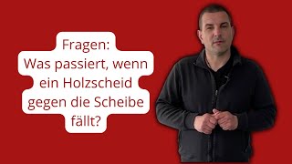 Frage Was passiert wenn ein Holzscheit gegen die Kaminscheibe fällt [upl. by Feetal614]