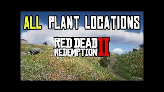 RED DEAD REDEMPTION 2 RDR2  finding all 43 herbs in one easy route 13 spots [upl. by Enitsyrk]