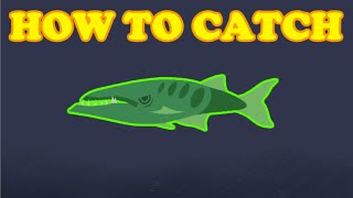 Cat goes fishing HOW TO CATCH CUDA [upl. by Ping]