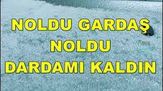 noldu gardaş noldu dardamı kaldın Antepten ötedir Maraşın yolu [upl. by Keeley380]