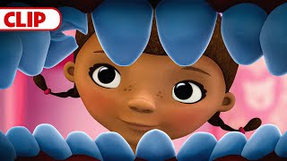 Lost and Found Land  Doc McStuffins  disneyjr [upl. by Aeslek]