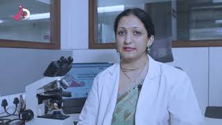 Immuno Diagnostics Corporate Video [upl. by Anuahsal]