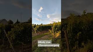 sonnenuntergang Andy Live Herbst [upl. by Shay991]