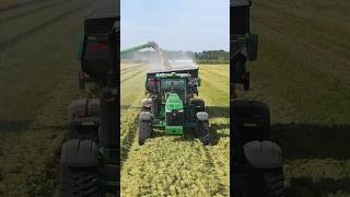 Harvesting rice in McGehee Arkansas johndeeere agriculture farming drone farm sunset deere [upl. by Wilfred818]