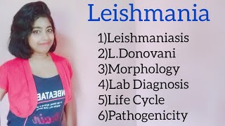 Leishmania Leishmaniasis Kalaazar Morphology amp lab diagnosis including its life cycle [upl. by Rexer737]