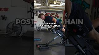 Posterior Chain Development [upl. by Norbel]